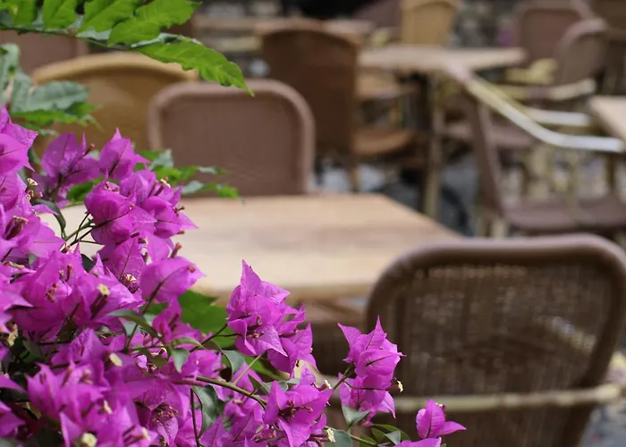 Logis Crasborn Торн